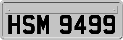 HSM9499