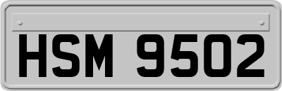 HSM9502