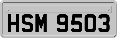 HSM9503