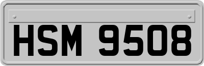 HSM9508