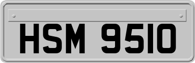 HSM9510