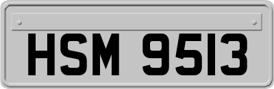 HSM9513