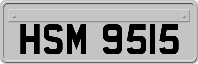 HSM9515