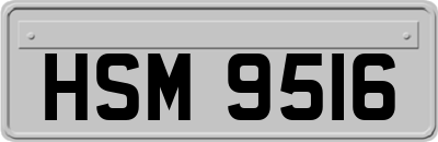 HSM9516