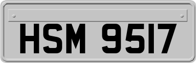 HSM9517