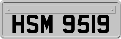 HSM9519