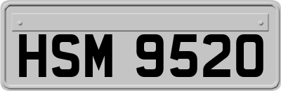 HSM9520