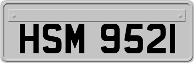 HSM9521