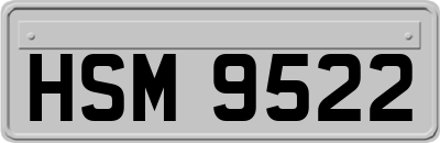 HSM9522