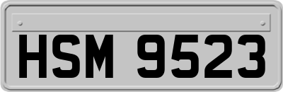 HSM9523