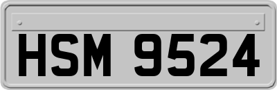 HSM9524