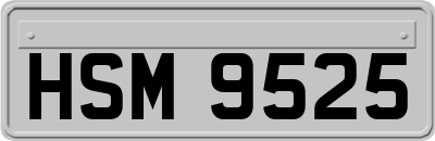 HSM9525