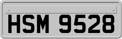 HSM9528