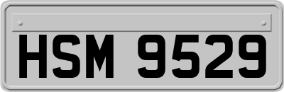 HSM9529