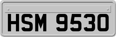 HSM9530
