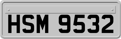 HSM9532
