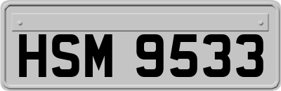 HSM9533