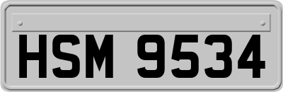 HSM9534