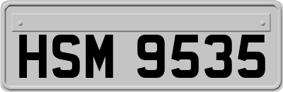 HSM9535
