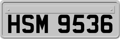 HSM9536