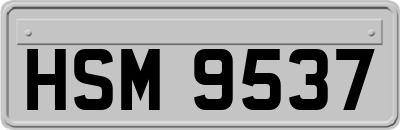HSM9537