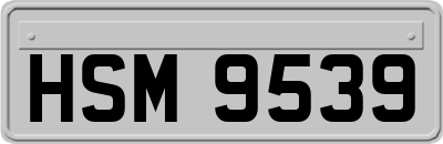 HSM9539