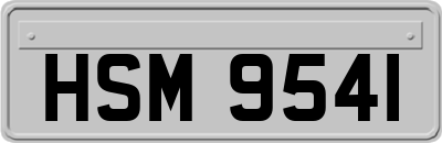 HSM9541