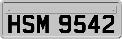 HSM9542