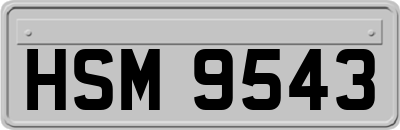 HSM9543