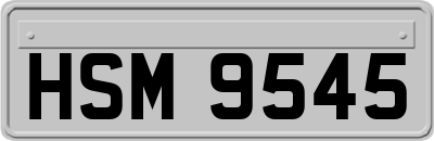 HSM9545