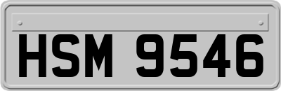 HSM9546