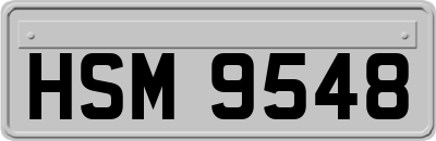 HSM9548