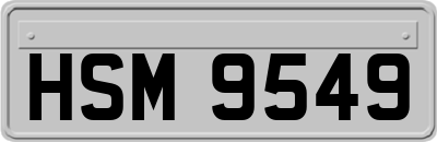 HSM9549