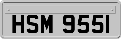 HSM9551