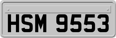 HSM9553