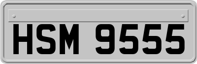 HSM9555