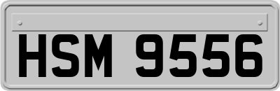 HSM9556