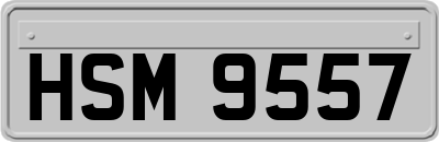 HSM9557