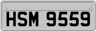 HSM9559