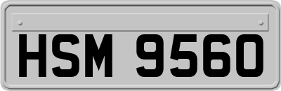 HSM9560