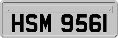 HSM9561