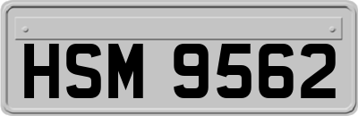 HSM9562