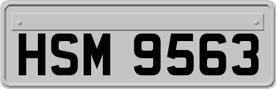 HSM9563