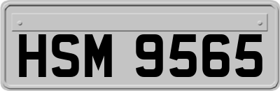 HSM9565