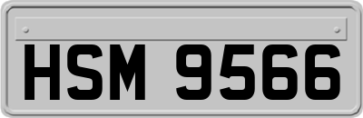 HSM9566