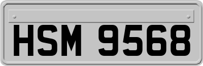 HSM9568
