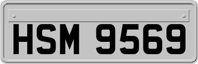 HSM9569