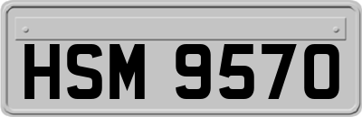 HSM9570
