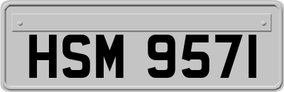 HSM9571