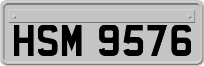 HSM9576